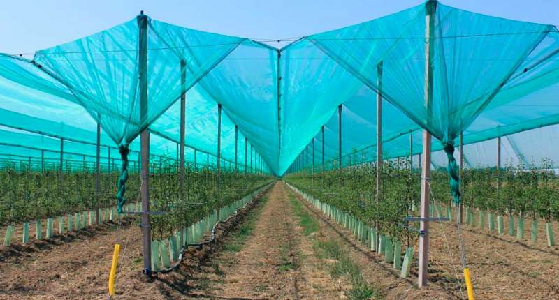 Преимущества сетки для затенения в садоводстве: защита растений и урожая